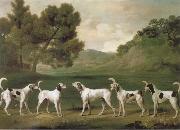 George Stubbs Some Dogs oil painting picture wholesale